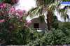 Amaryllis Hotel 